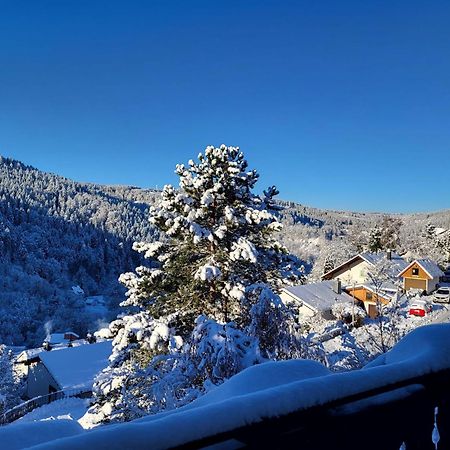 Grosse Ferienwohnung In Ruhiger Lage Mit Toller Aussicht In Triberg Triberg im Schwarzwald Ngoại thất bức ảnh